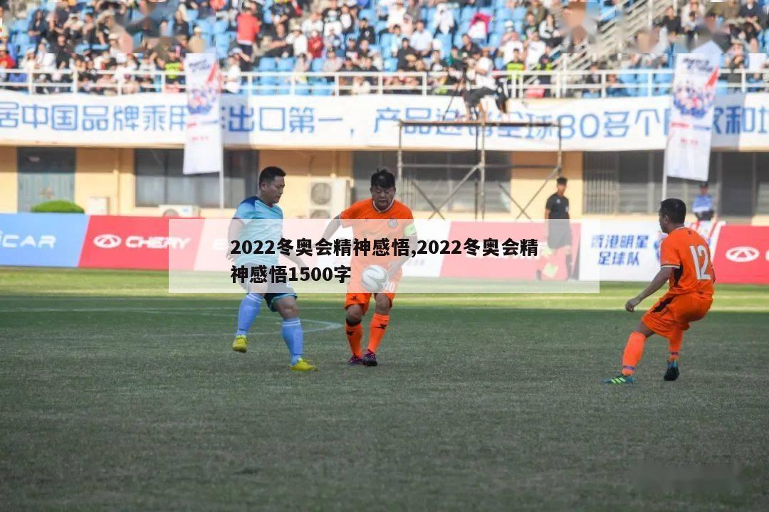 2022冬奥会精神感悟,2022冬奥会精神感悟1500字